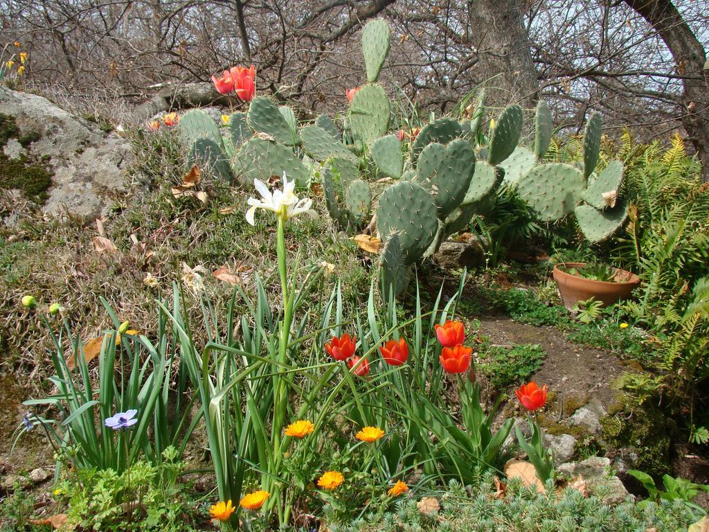 קסטל דל פיאנו Borgo Tepolini Country House מראה חיצוני תמונה
